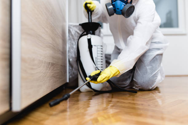 Best Affordable Pest Control Services  in Edinburg, TX