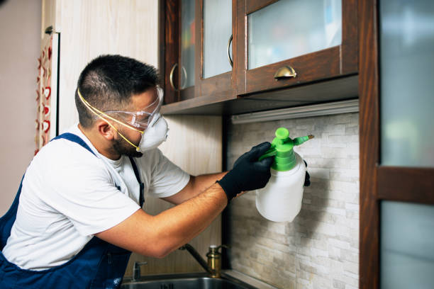 Wildlife Control Services in Edinburg, TX