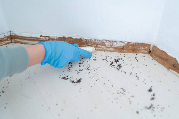 Best Commercial Pest Control Services  in Edinburg, TX